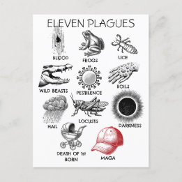 10 Plagues Humour Postcard