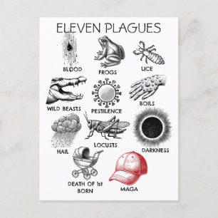 10 Plagues Humour Postcard