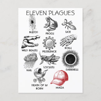 10 Plagues Humour Postcard