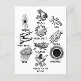 10 Plagues Postcard