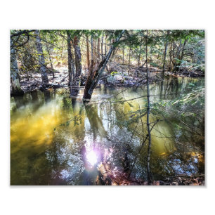 10"x8" Photo Print    A Walk By Sage Creek