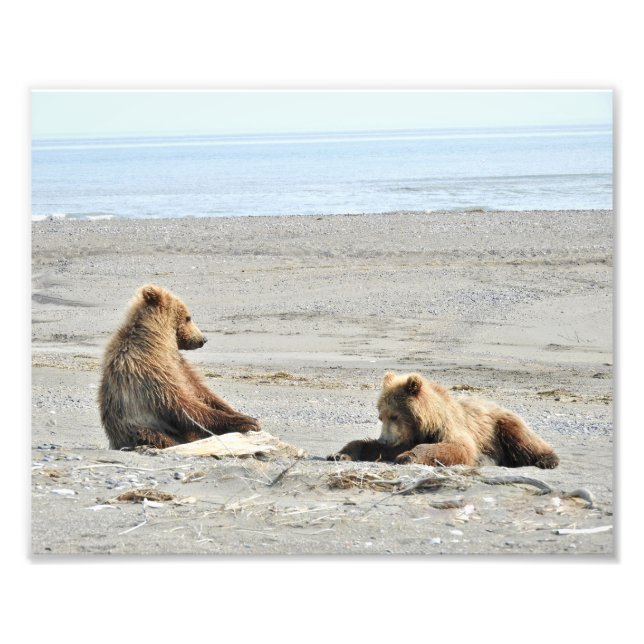 10" x 8", Kodak Professional Photo Paper (Satin) (Front)