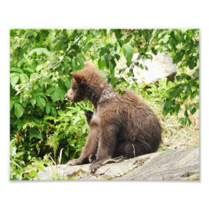 10" x 8", Kodak Professional Photo Paper (Satin) Print