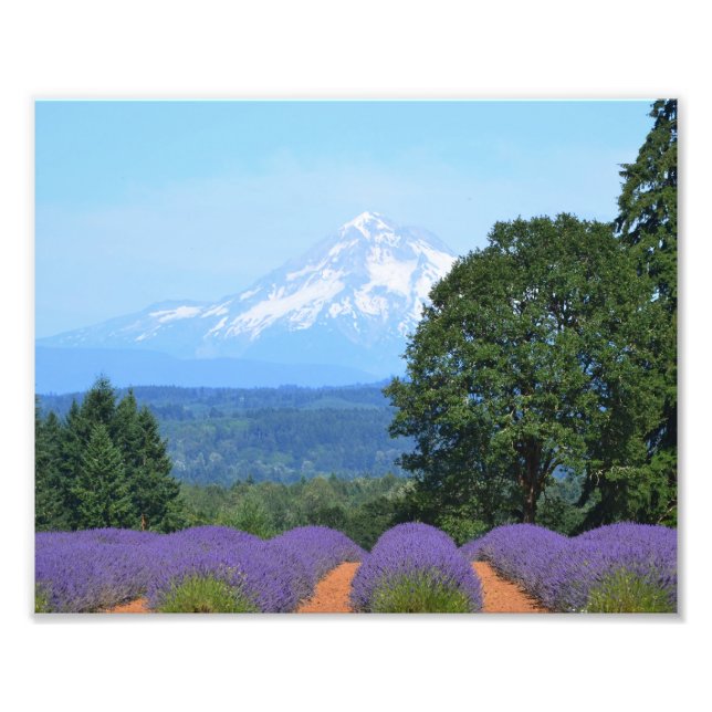 10" x 8", Kodak Professional Photo Paper (Satin) Print (Front)