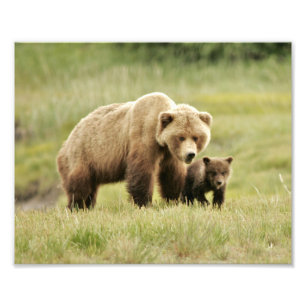 10" x 8", Kodak Professional Photo Paper (Satin) Print