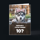 10th Birthday Cute and Funny Husky in a Tub Card<br><div class="desc">This delightful card features an adorable little husky with a surprised expression,  bringing a playful charm. It can be personalized for any age,  with this one specially designed for a 10th birthday.</div>
