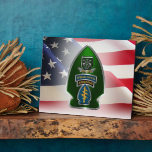 10th Special Forces Group (AIRBORNE) Plaque