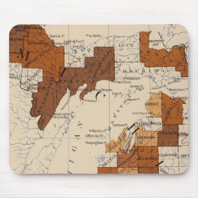 110 Typhoid fever Michigan Mouse Mat (Front)