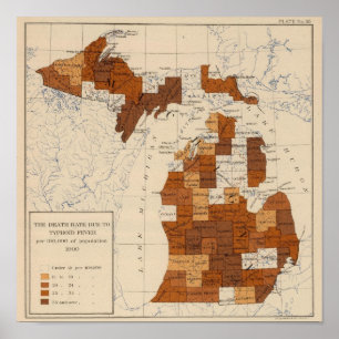 110 Typhoid fever Michigan Poster