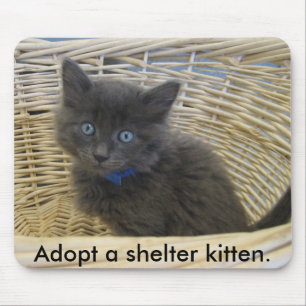112907 petfinder 028, Adopt a shelter kitten. Mouse Mat