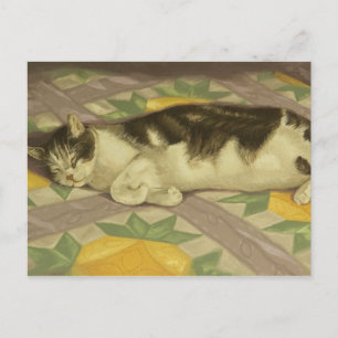 1149 Cat on Quilt Postcard