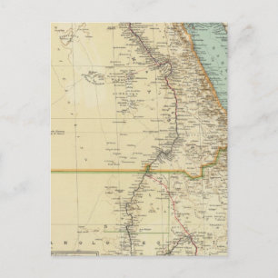 115 Egypt Postcard
