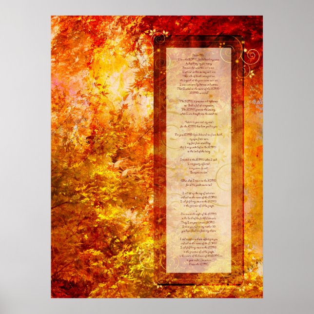 116 poster (Front)
