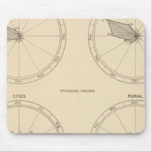117 Deaths influenza, typhoid fever 1900, 1890 Mouse Mat