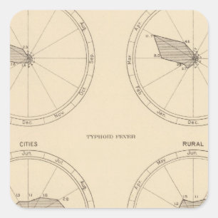 117 Deaths influenza, typhoid fever 1900, 1890 Square Sticker