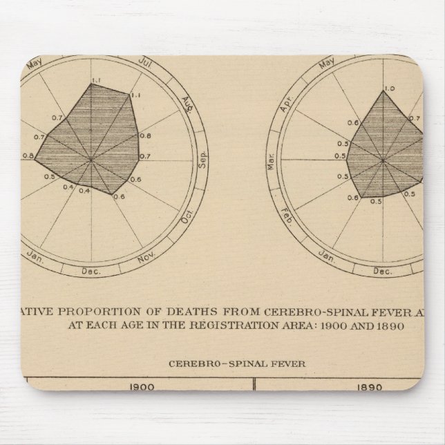 118 Deaths cerebrospinal fever Mouse Mat (Front)