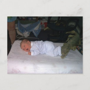 1190397 POSTCARD