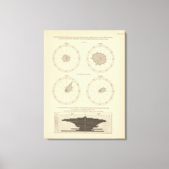 119 Deaths old age, diarrheal diseases 1900, 1890 Canvas Print (Front)