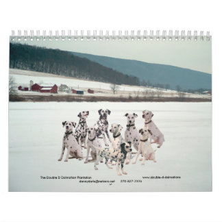 11-2008_02, The Double D Dalmatian... - Customised Calendar