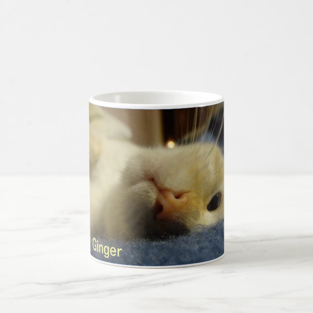 11 oz Coffee Mug featuring Ginger (Center)