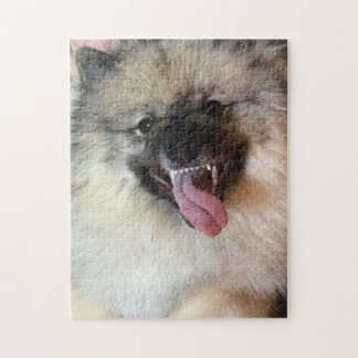 11" x 14" Keeshond puzzle 252 pieces