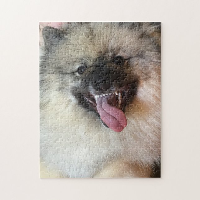 11" x 14" Keeshond puzzle 252 pieces (Vertical)