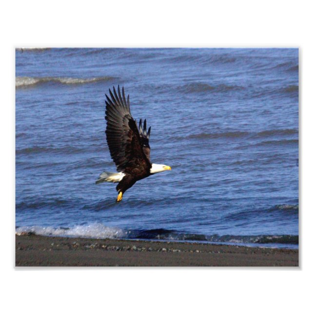 11" x 8.5", Kodak Professional Photo Paper (Satin) (Front)