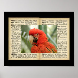 11" x 8.5", Poster (Bird And Text Vintage Designs)