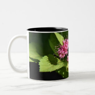 11oz Two Tone Coffee Mug by Pure Photography