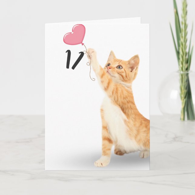 11th birthday tabby cat card (Front)