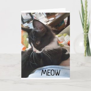 11th" BIRTHDAY WISHES FROM BOTH OF US DOGS Card