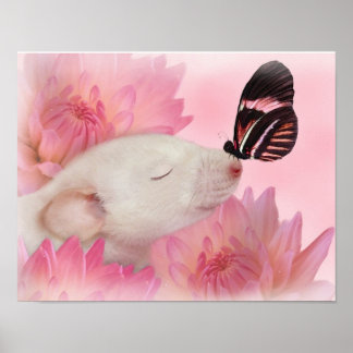 11x14 Butterfly Kisses matte canvas Poster