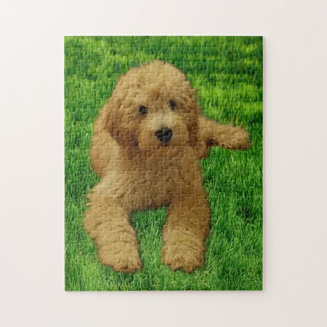 11x14 Rex The Goldendoodle Jigsaw Puzzle (Vertical)
