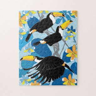 11x14 Toucan Puzzle for Colorblind People