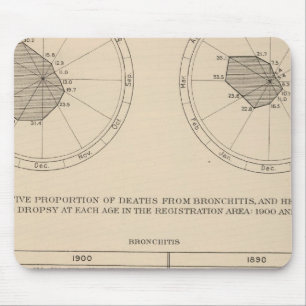 123 Deaths diseases respiratory system, bronchitis Mouse Mat