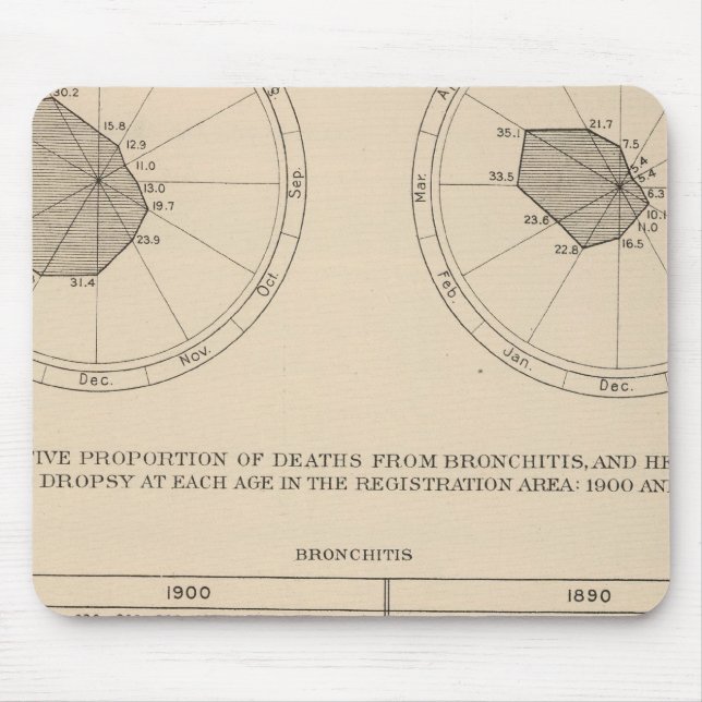 123 Deaths diseases respiratory system, bronchitis Mouse Mat (Front)