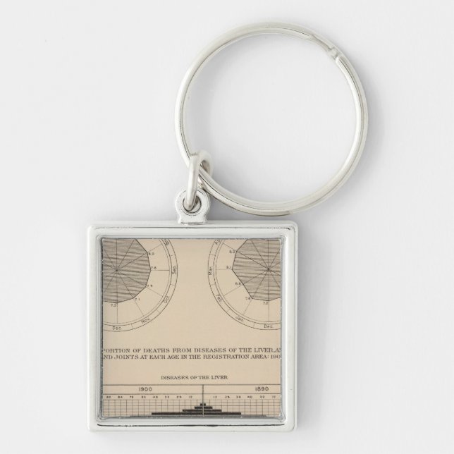 124 Deaths diseases digestive system, liver Key Ring (Front)