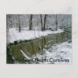 124, Hello from North Carolina Postcard