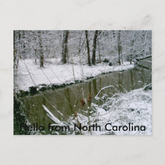 124, Hello from North Carolina Postcard