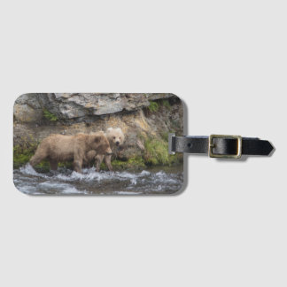 128 Grazer's Cubs at Brooks Falls - Luggage Tag