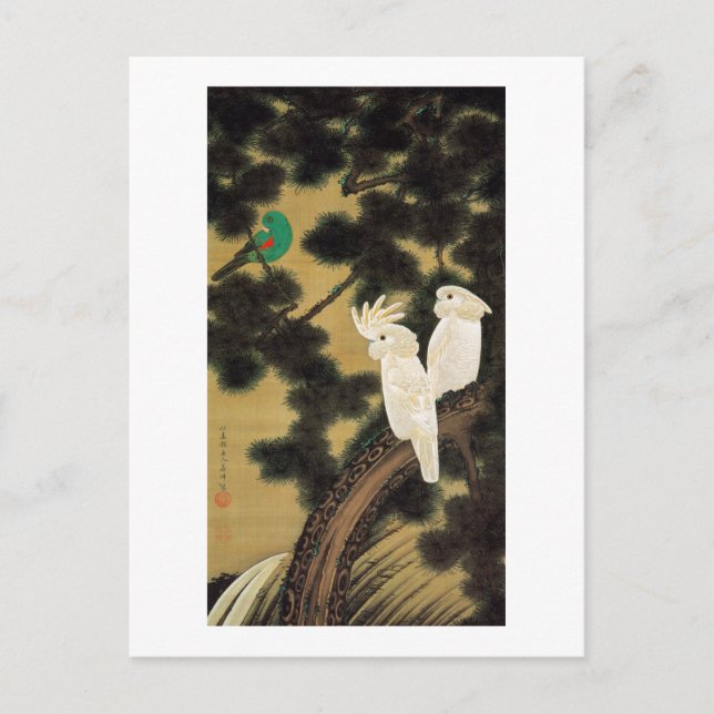 12. 老松鸚鵡図, 若冲 Pine-tree & Parrot, Jakuchū Postcard (Front)
