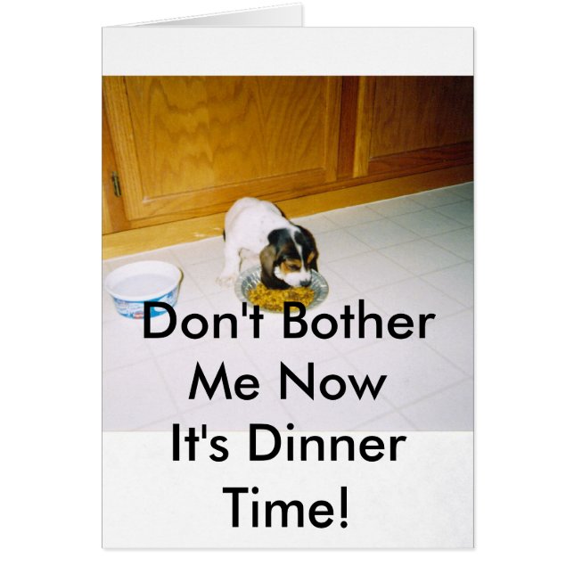 12-30-2008 06;09;30PM, Don't Bother Me NowIt's ... (Front)