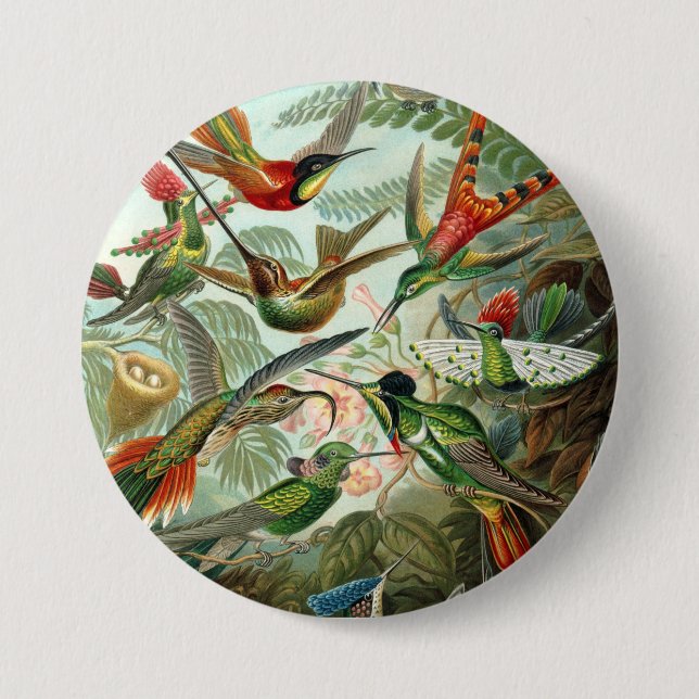 12 american humming birds breeds painted drawn 7.5 cm round badge (Front)