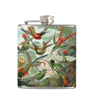12 american humming birds breeds painted drawn hip flask
