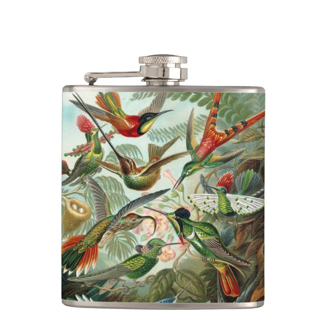 12 american humming birds breeds painted drawn hip flask (Front)