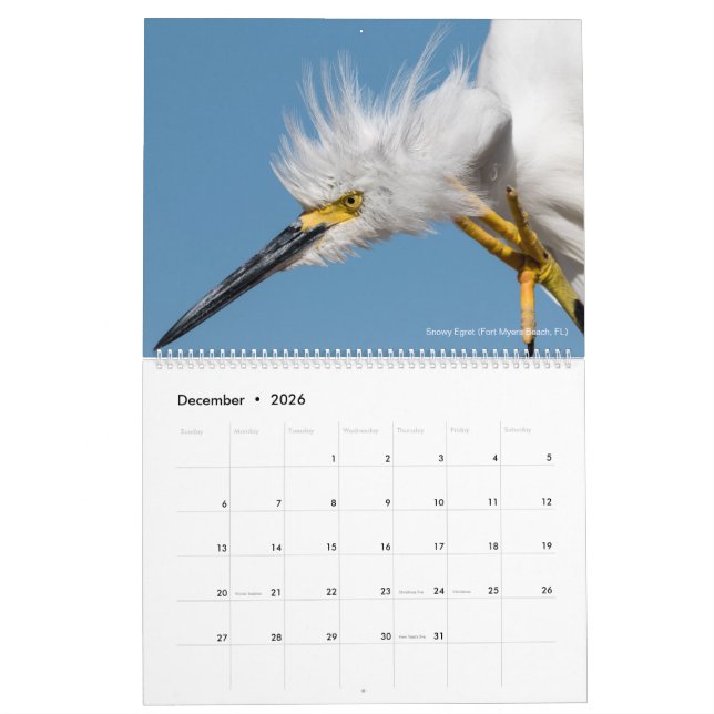 12 Birds for 2018 ~ Tom Spine Photography Calendar (Dec 2026)