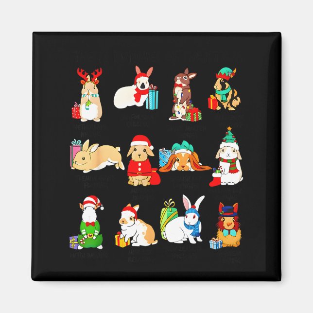 12 Bunny Of Christmas Bunny Rabbit Christmas Xmas  Magnet (Front)