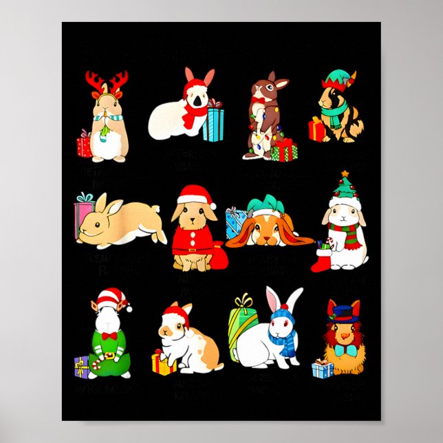 12 Bunny Of Christmas Bunny Rabbit Christmas Xmas  Poster (Front)