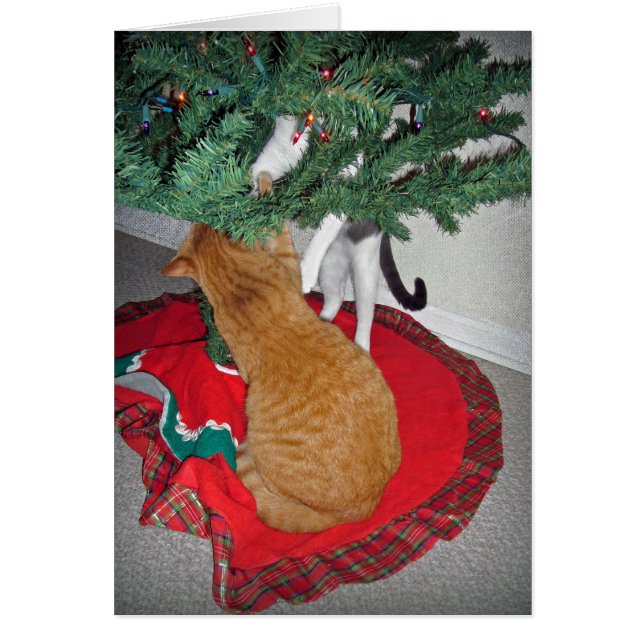 12 Cats a-Climbing (Front)