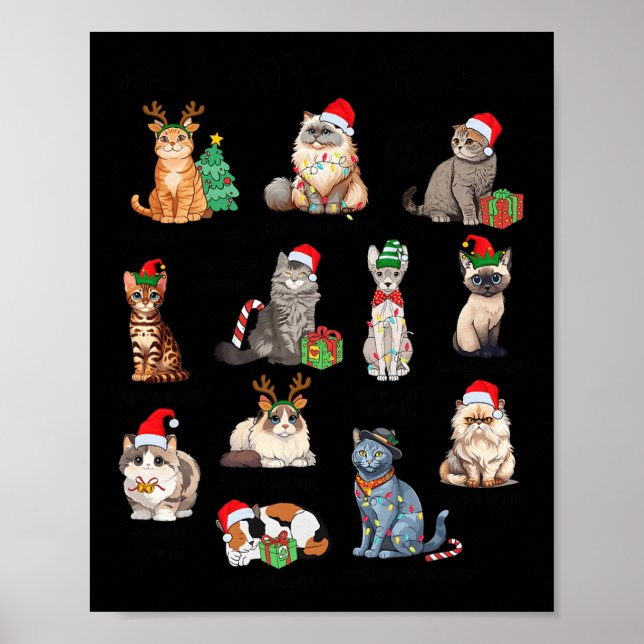 12 Cats Of Christmas Funny Christmas Cat Lover Xma Poster (Front)